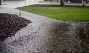 Rainwater pooling along a residential driveway showing why a flood elevation certificate is important for homeowners